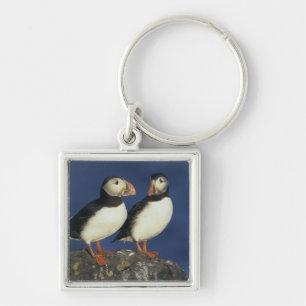 Atlantische papegaaiduiker sleutelhanger