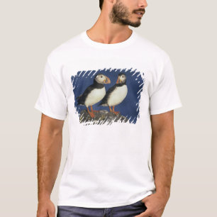 Atlantische papegaaiduiker t-shirt