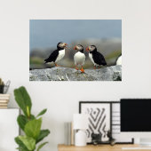 Atlantische Papegaaiduikers Groep Poster (Thuiskantoor)