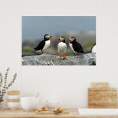 Atlantische Papegaaiduikers Groep Poster (Keuken)