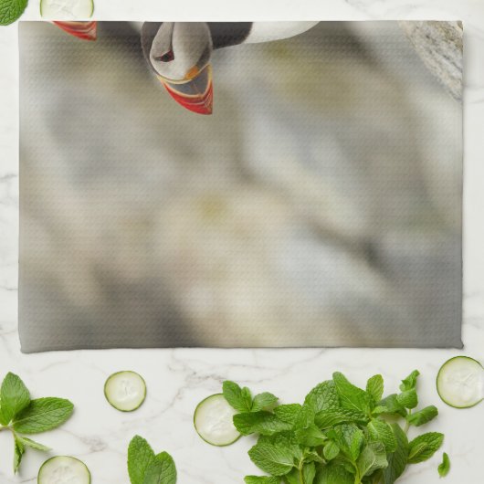 Atlantische papegaaiduikers op Machias Seal Island Theedoek (Gevouwen)