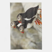 Atlantische papegaaiduikers op Machias Seal Island Theedoek (Verticaal)