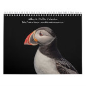 Atlantische papegaaien 2026 kalender (Hoes)