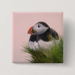 Atlantische Puffin (Fratercula arctica) 6 Vierkante Button 5,1 Cm
