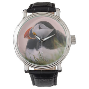 Atlantische Puffin (Fratercula arctica) Horloge