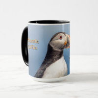 Atlantische Puffin – Machias Seal Island Maine Kof