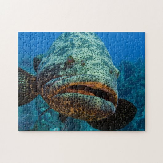 Atlantische Reuzenzeebaars Legpuzzel (Horizontaal)