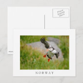 Atlantische vogel met witte briefkaart (Voorkant / Achterkant)