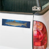 Atlantische zalm - Bumpersticker (Op Truck)