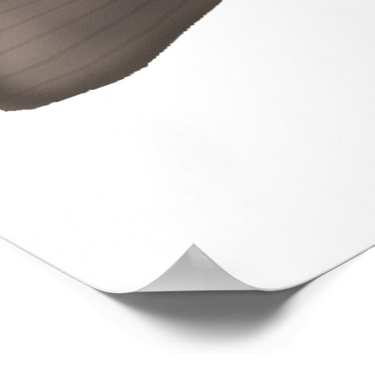 Atlantische zalm - Ocean and Spawning Phases Poster (Hoek)