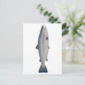 Atlantische zalm - Ocean Phase Briefkaart (Staand voorkant)