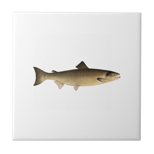 Atlantische zalm tegeltje (Voorkant)