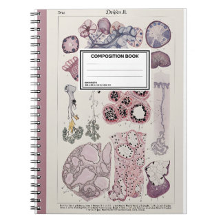 Atlas de l'histologie des tissus humains Cahier