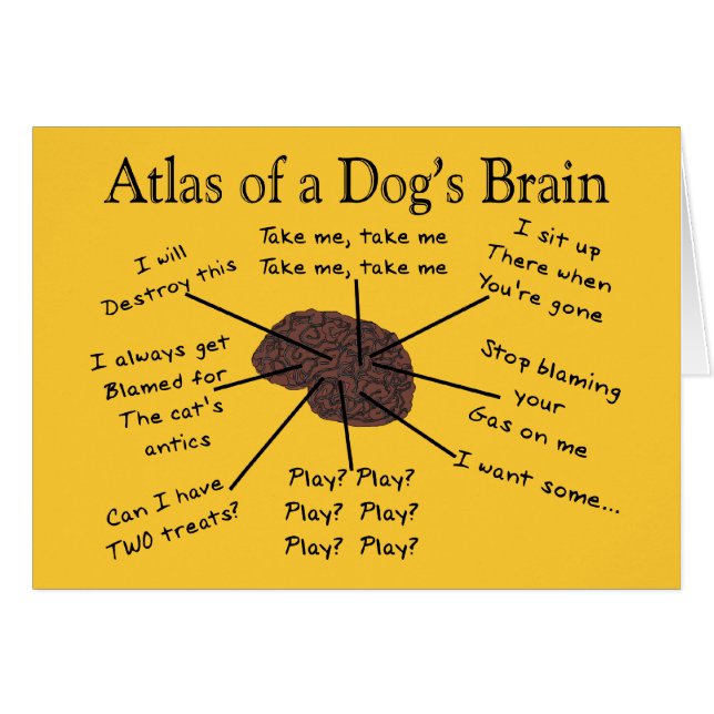 Atlas du cerveau d'un chien (Devant horizontal)