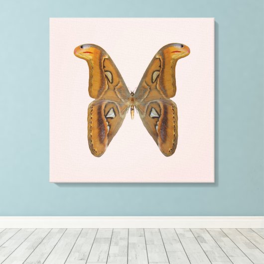Atlas Moth Canvas Afdruk (Insitu (Houten vloer))