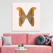 Atlas Moth Canvas Afdruk (Insitu (Woonkamer))
