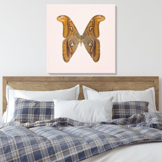 Atlas Moth Canvas Afdruk (Insitu (Slaapkamer))