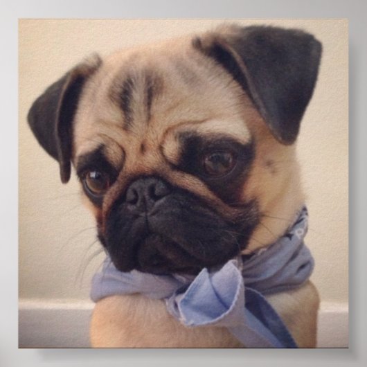 Atlas Poster (Voorkant)