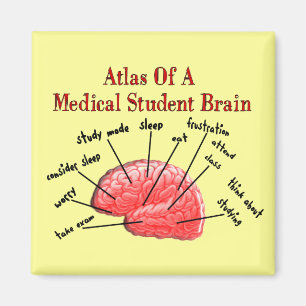 Atlas van het Brain van de Medische Student Magneet