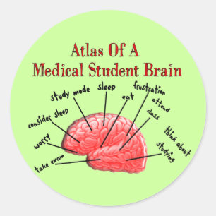 Atlas van het Brain van de Medische Student Ronde Sticker
