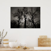 atoomkerebellum : het front van het meer in de win poster (Keuken)