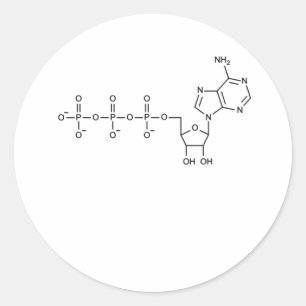 ATP-formule voor biologie en wetenschapsleraar Ronde Sticker