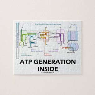 ATP-generatie in de keten van het elektronentransp Legpuzzel