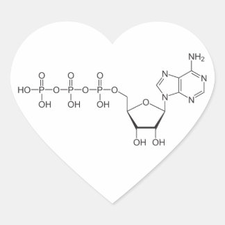ATP-molecule Hart Sticker