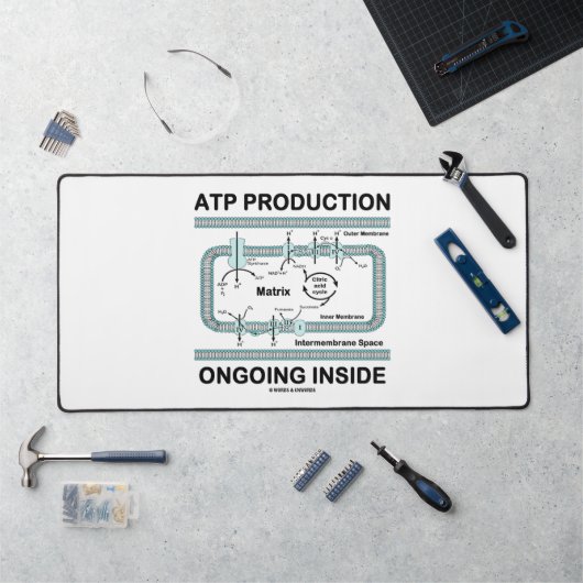 ATP Production Ongoing Inside Mitochondrion Bureaumat (Werkstation)