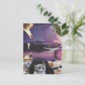 Attaque de la carte postale des chats Cool (Debout devant)