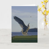 Atteindre Une Carte Objectif (Fleur jaune)