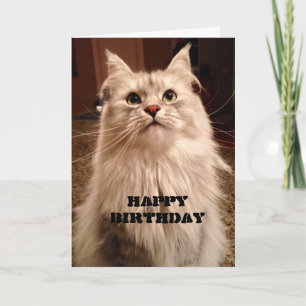 Attente patiente pour la carte d'anniversaire de g