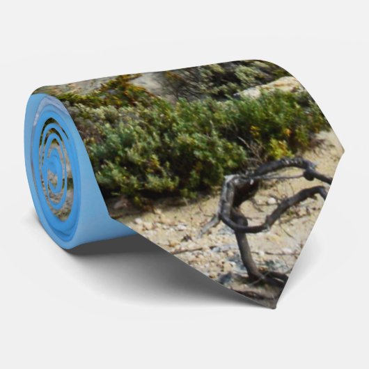 Attentes de plage, Cravate (Roulé)