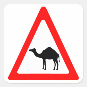 Attentie Camel Crossing Traffic Sign Vierkante Sticker