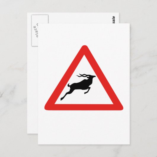 Attentie Kudus, verkeersborden, Zuid-Afrika Briefkaart (Voorkant / Achterkant)