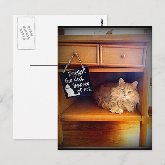 attention à la carte postale de chat (Devant / Derrière)