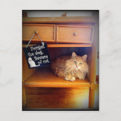 attention à la carte postale de chat (Devant)