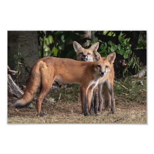 Attention À Mon Frère Photo Print (Devant)