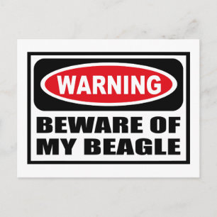 ATTENTION DE MA Carte postale BEAGLE