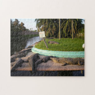 Attention! Les intrus seront mangés !, Puzzle de J