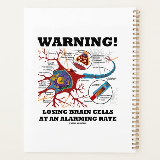 Attention ! Losing Brain Cells At An Alarming (Dos)