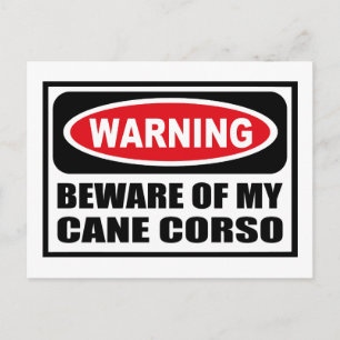 Attention MÉNAGE DE MA CANE CORSO Carte postale