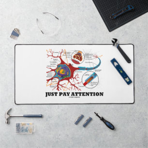 Attention Neurone Synapse Neurotransmetteur
