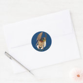 Atterrissage de Mallard Duck Drake Oiseau Sticker  (Enveloppe)