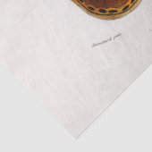 Atticus atlasmot tissuepapier (Detail)