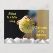 Attitude Briefkaart - Palm Warbler Bird (Voorkant)