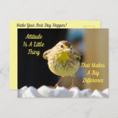 Attitude Briefkaart - Palm Warbler Bird (Voorkant / Achterkant)