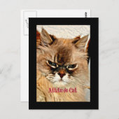 Attitude Cat Briefkaart (Voorkant / Achterkant)