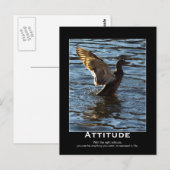Attitude Mallard Duck Motivatie Briefkaarten (Voorkant / Achterkant)