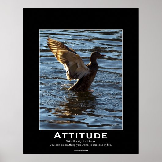 Attitude Mallard Duck Motivatie Posters (Voorkant)